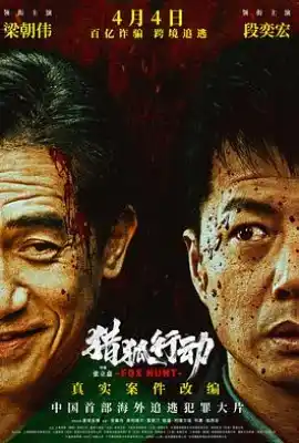 猎狐·行动