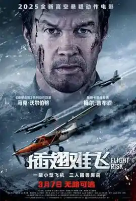 插翅难飞 Flight Risk