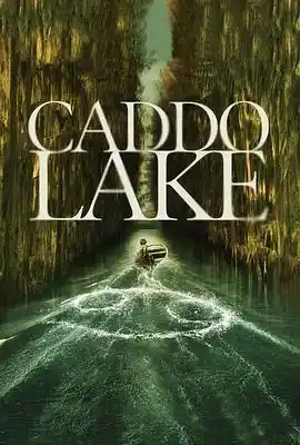 凯多湖的消失 Caddo Lake