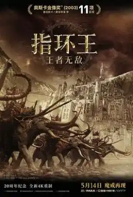 指环王3：王者无敌 The Lord of the Rings: The Return of the King