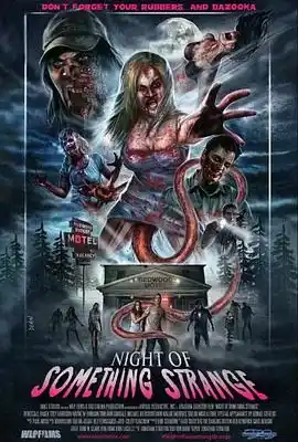 奇怪的夜晚 Night of Something Strange