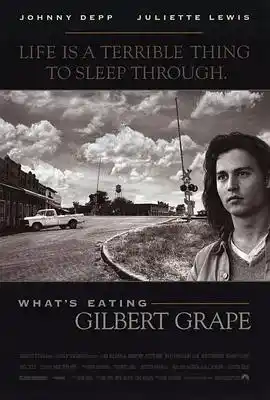 不一样的天空 What's Eating Gilbert Grape