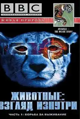 透视动物 Animal The Inside Story