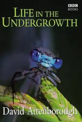 灌丛下的生命 Life in the Undergrowth