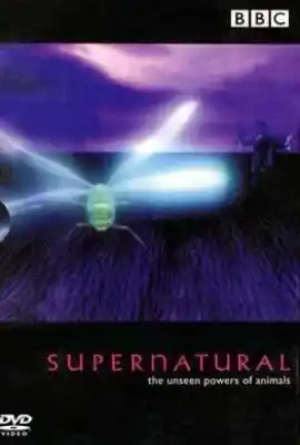 超自然力量 Supernatural: The Unseen Powers of Animals
