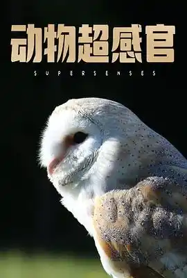 动物超感官 Supersenses