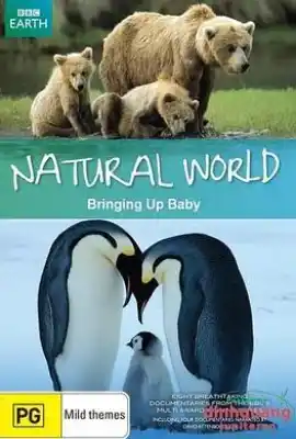 BBC 自然世界 2009 动物母性 BBC Natural World 2009 Bringing Up Baby
