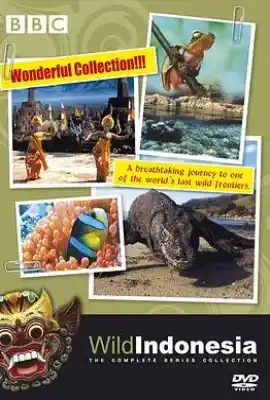 野性印尼 Wild Indonesia