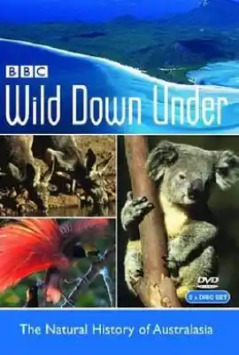 野性澳洲 Wild Down Under
