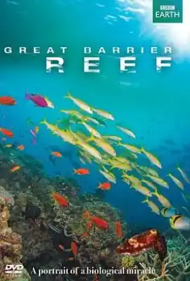 大堡礁 Great Barrier Reef