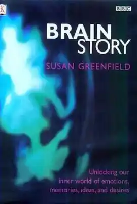 人脑漫游 Brain Story