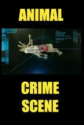 动物犯罪现场 Animal Crime Scene