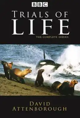 生命之源 The Trials of Life