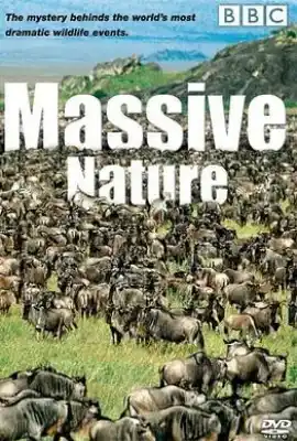 群体大自然 Massive Nature