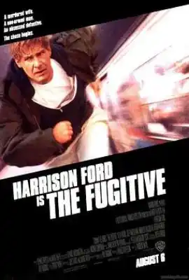 亡命天涯 The Fugitive