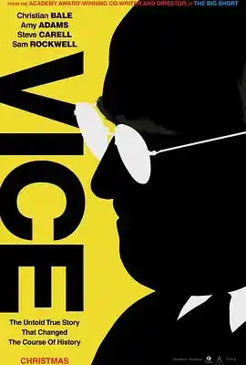 副总统 Vice